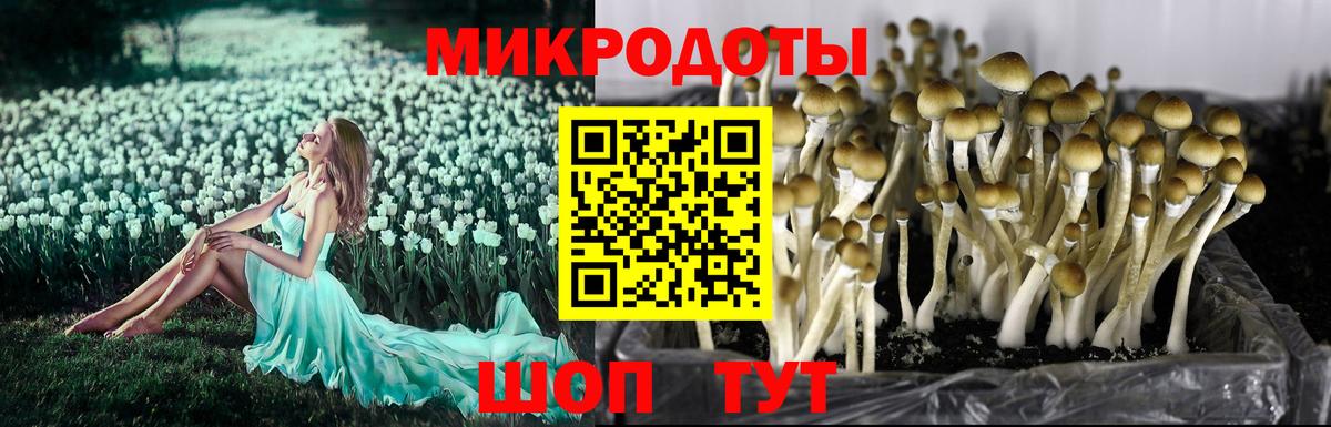Елизово  Псилоцибиновые грибы ЛСД  Вход с VPN 